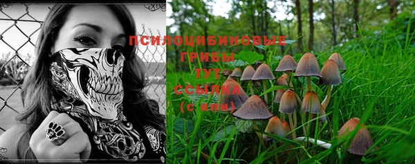 Альфа ПВП Белоозёрский