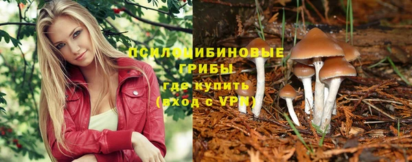 Альфа ПВП Белоозёрский