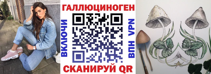 Галлюциногенные грибы GOLDEN TEACHER  наркота  Дагестанские Огни 