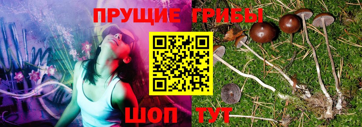 Дагестанские Огни  Галлюциногенные грибы Magic Shrooms  Вход с VPN 